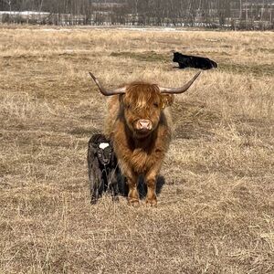 Meet your Posher, Dawn